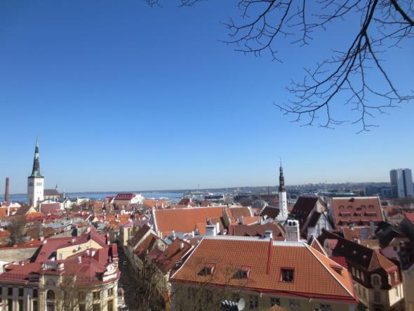 Über den Dächern von Tallinn
