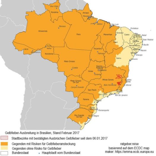 Gelbfieber in Brasilien - Aktuelle Status