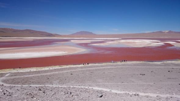 Die Laguna Colorada mit ihrem stark salzhaltigen, roten Wasser