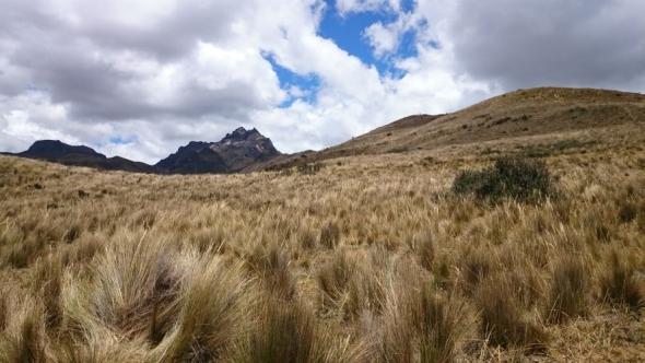 Aussicht auf die zweite Vulkanspitze des Pichincha auf über 5.000 Höhenmetern